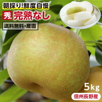 【送料無料】長野県産 梨 5kg 秀品 幸水 豊水 二十世紀 南水 完熟 なし 選べる品種...