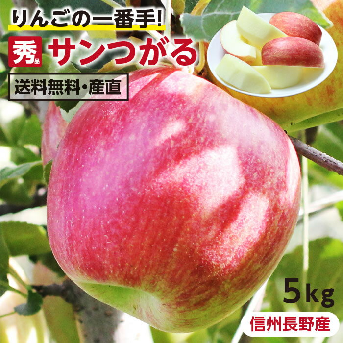 【送料無料】長野県産 りんご 5kg つがる 秀品 りんごの一番手 産地直送 16〜20玉 完熟りんご -S09J | 葉とらず栽培 サンつがる リンゴ 林檎 ツガル 津軽 おいしい 甘いりんご お取り寄せ 果物 旬の果物 フルーツ 鮮度抜群 国産 ギフト 贈答 贈り物 プレゼント 農家限定 信州