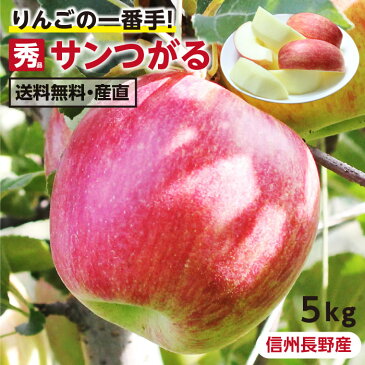 【送料無料】長野県産 りんご 5kg サンつがる 秀品 産地直送 | 葉とらず栽培 リンゴ 林檎 つがる ツガル 信州 お取り寄せ 旬の果物 フルーツ りんごの一番手 ギフト 贈り物