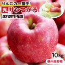 【送料無料】長野産 りんご 10kg つがる 秀品 りんごの一番手 産地直送 28〜40玉 完熟りんご -S09J | 葉とらず栽培 サンつがる リンゴ 林檎 ...