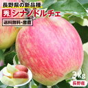 【送料無料】長野産 りんご シナノドルチェ 3kg 秀品 -Y09G | 産地直送 葉とらずリンゴ リンゴ 林檎 信州 フルーツ 旬のフルーツ 贈答品 贈り物 お取り寄せ おいしいりんご 甘いりんご 生産者指定 旬の果物 ギフト ゴールデンデリシャスと千秋から生まれたりんご