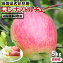 【送料無料】長野産 りんご シナノドルチェ 5kg 秀品 -Y09G | 産地直送 葉とらずリンゴ リンゴ 林檎 信州 フルーツ 旬のフルーツ 贈答品 贈り物 希少品種 甘いりんご 美味しいりんご 農家指定 お取り寄せ 旬の果物 ギフト ゴールデンデリシャスと千秋から生まれたりんご