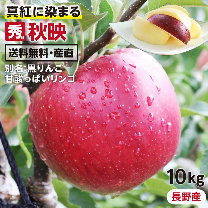 【送料無料】長野産 りんご 秋映 10kg 秀品 24～32玉 産地直送 -Y10J | 収穫日当日発送 葉とらずリンゴ リンゴ 林檎 信州 フルーツ 旬のフルーツ 贈答品 贈り物 お取り寄せ 旬の果物 甘酸っぱいりんご 希少品種 ギフト プレゼント 千秋とつがるから生まれたりんご 黒りんご