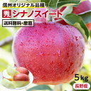 【送料無料】長野産 りんご シナノスイート 5kg 秀品 16～20玉 産地直送 -Y10J | 葉とらずリンゴ リンゴ 林檎 信州 フルーツ 旬のフルーツ 贈答品 贈り物 お取り寄せ 美味しいりんご 甘いりんご 旬の果物 ギフト ふじとつがるから生まれた甘いりんご 長野オリジナル品種