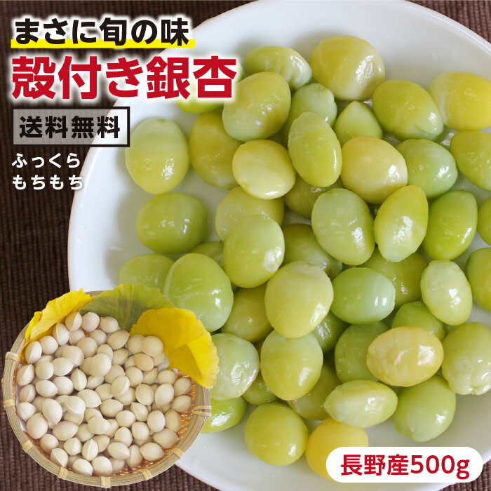 【送料無料】めちゃ旨!殻付き「生」 銀杏 500g ( 藤九郎 )長野県産 産地直送 L~2Lサイズ以上の大粒を厳選 最強翌日配送 | 生銀杏 ギンナン ぎんなん おつまみ 電子レンジ 翡翠色 プチギフト 国産 野菜 おいしい 栄養満点 秋の味覚 旬の食材 レンジでチンで簡単調理 2025
