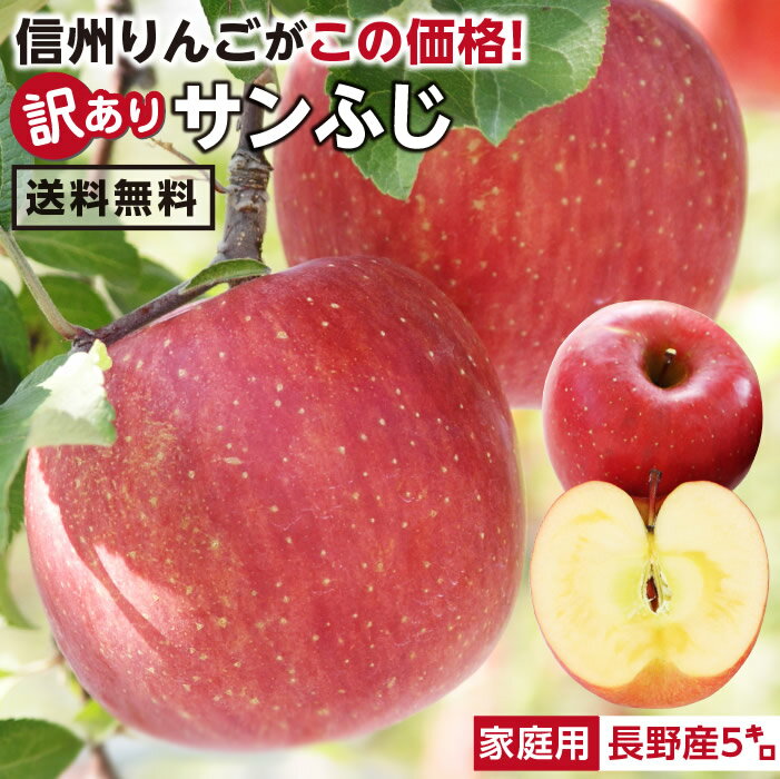 【送料無料】長野県産 りんご 訳あり 5kg | サンふじ 産地直送 訳あり 訳 訳有り リンゴ 傷あり 大小さまざま 太陽の光をいっぱい浴びた無袋栽培 りんご 長野 信州 サンフジ 林檎 食品 アップルパイ用に