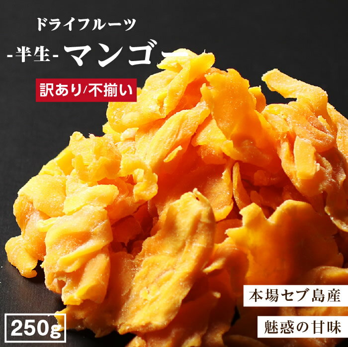 【送料無料】ドライマンゴー 250g 訳