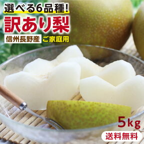 【送料無料】訳あり 梨 5kg 長野県産 幸水 / 豊水 / 二十世紀 / あきづき / 新高 / 南水 6品種からお好きな梨を選べる！ ご自宅用 お徳用 ご家庭用 | なし 訳あり梨 和梨 ナシ 産地直送 旬の果物 大容量 フルーツ お得 果汁たっぷり 傷あり 変形果 お取り寄せ 信州産