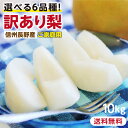【送料無料】訳あり 梨 10kg 長野県産 幸水 / 豊水 / 二十世紀 / あきづき / 新高 / 南水 6品種からお好きな梨を選べる! ご自宅用 お徳用 ご家庭用 | なし 訳あり梨 和梨 ナシ 産地直送 旬の果物 大容量 フルーツ お得 果汁たっぷり 傷あり 変形果 お取り寄せ 信州産