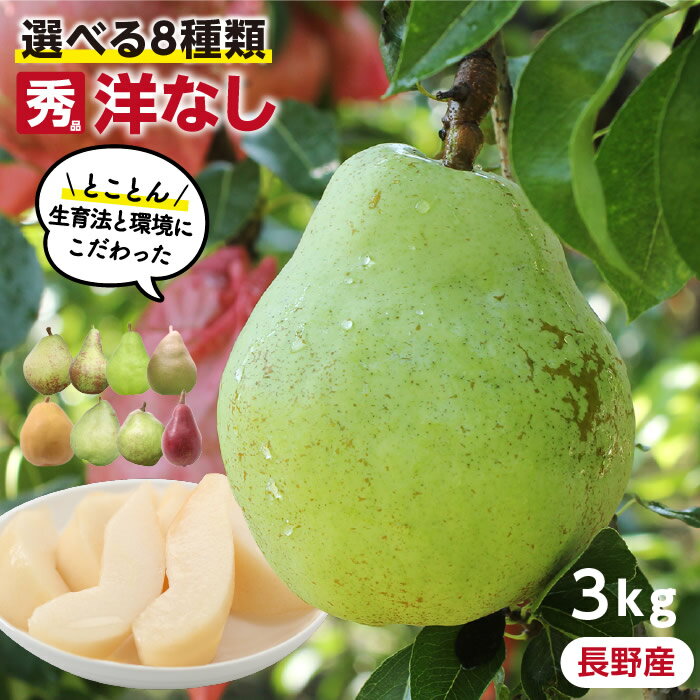 【送料無料】長野県産 洋梨 3kg 選べ