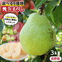 【送料無料】長野県産 洋梨 3kg 選べる8種類 スタークリ
