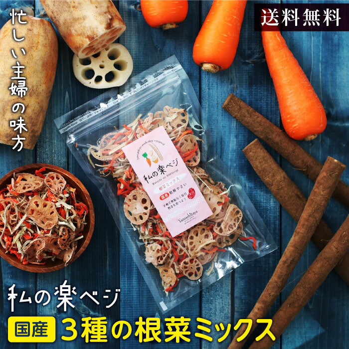 【送料無料】乾燥野菜 国産 私の楽ベジ 根菜ミックス 100g 3種の国産野菜 乾燥にんじん 乾燥ごぼう 乾燥れんこん ｜ …