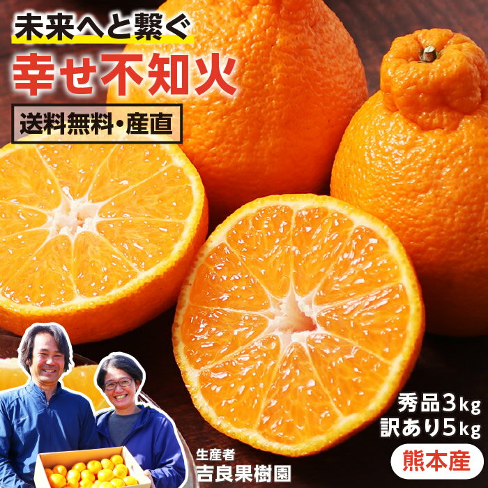 【送料無料】熊本産 不知火 秀品 3kg 2L以上 or 訳あり 5kg 産地直送 吉良果樹園 幸せ不知火 | シラヌイ しらぬい 肥の豊 デコポンと同一品種 柑橘 甘い 生産者指定 高級 贈答用 ギフト ご家庭用 訳あり品 果物 フルーツ 平均糖度13度 おいしい 農家直送 不知火発祥の地