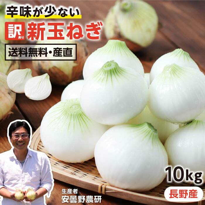 【送料無料】長野県産 訳あり 新玉ねぎ 10kg S〜Lサイズ混在 産地直送 安曇野農研 50〜80 ...