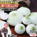 白子 【送料無料】千葉県 白子町産 新玉ねぎ 10kg 訳あり 産地直送 古山商店 大小混在 お徳用 辛味が少ない 肉厚 白子玉ねぎ -S05T | 玉ねぎ タマネギ たまねぎ 新玉 10キロ 肥料店店主が育てた本気の玉ねぎ 大容量 産直 こだわり野菜 顔が分かる 生産者直送 おいしい 野菜