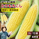 【送料無料】長野県産 とうもろこし 2Lサイズ 12本 約4kg 選べる3品種 ゴールドラッシュ ミルキースイーツ わくわくコーン | トウモロコシ 朝採り 鮮度抜群 当日出荷 夏野菜 産地直送 甘い 生で食べられる コーン 冷蔵発送 おいしい 贈り物 ギフト お中元 みのりファーム