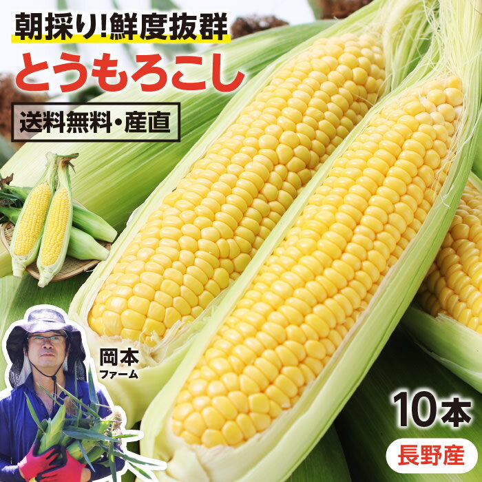 【送料無料】長野産 とうもろこし ゴールドラッシュ 10本 2L以上 3.5kg以上 朝採り 糖度平均18度 岡本ファーム 高原野菜 鮮度自慢 -S07G | 産地直送 朝採り当日発送トウモロコシ 寒暖差25度が育てた 甘いとうもろこし 贈り物 美味しい 農家指定 お取り寄せ 旬の野菜 夏野菜