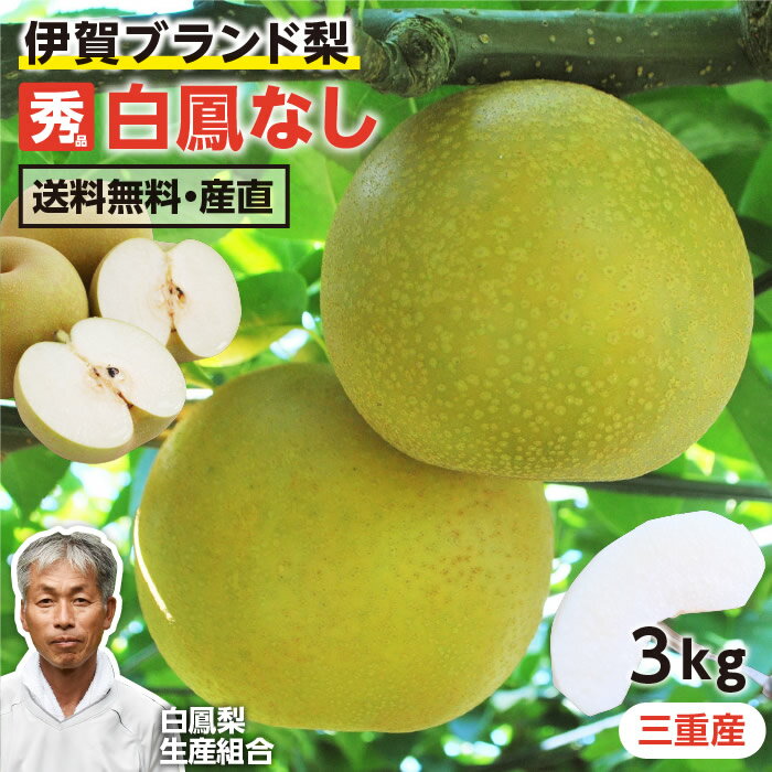 【送料無料】三重産 白鳳梨 約3kg 秀品 7～9玉 幸水 豊水 選べる ブランド梨 伊賀梨 無袋栽培 | 産地直送 みえの安心食材 完熟なし 梨 なし ナシ 水田梨 フルーツ 旬のフルーツ 贈答品 贈り物 美味しい 農家指定 おすすめ お取り寄せ 旬の果物 甘くてみずみずしい おいしい梨