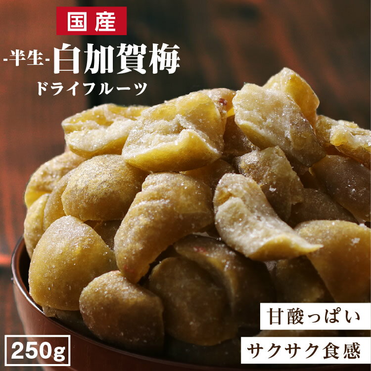 【送料無料】国産 ドライフルーツ 梅 250g サクサクとした甘酸っぱいおいしさ 群馬県産 白加賀梅 ドライ梅 ドライうめ うめ ウメ 大容量 お得用 南信州菓子工房 半生ドライ 果物 フルーツ フォンダンウォーター おやつ お菓子 無香料 着色料不使用 国産