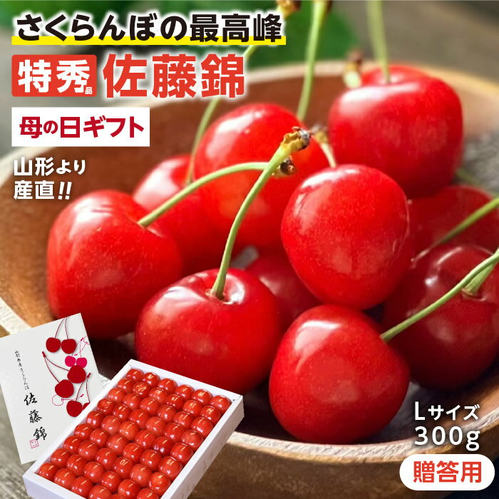 【送料無料】さくらんぼ 佐藤錦 特秀 化粧箱入り 300g Lサイズ以上 母の日 プレゼント ギフト ...