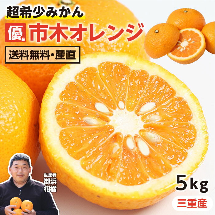 【送料無料】市木オレンジ 三重県産 訳あり 5kg L～3Lサイズ 産地直送 御浜柑橘 サイズ不揃い 14玉前後 -S02T | オレンジ みかん ミカン フルーツ 果物 柑橘 甘い おいしい 農家指定 家庭用 さわやか 爽やか 果汁