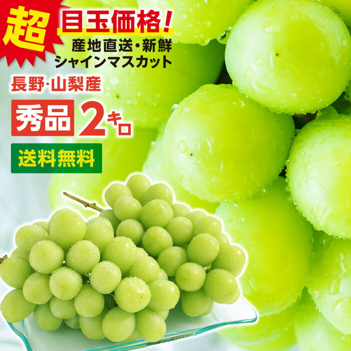 ぶどう エントリーでP4倍！【送料無料】 シャインマスカット 約2kg 秀品 産地厳選 長野・山梨産 一房あたり約500g 3～5房 あす楽 産地直送 皮ごと食べられる 大人気ブドウ 種なし ぶどう | 高糖度 シャイン マスカット ブドウ 葡萄 秋 果物