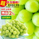 【送料無料】シャインマスカット 約2kg 秀品 産地厳選 長野・山梨産 一房あたり約500g 3～5房 あす楽 産地直送 皮ごと食べられる 大人気ブドウ 種なし ぶどう | 高糖度 シャイン マスカット ブドウ 葡萄 秋 果物 甘い 贈り物 ギフト プレゼント 旬の味覚 フルーツ 常温発送