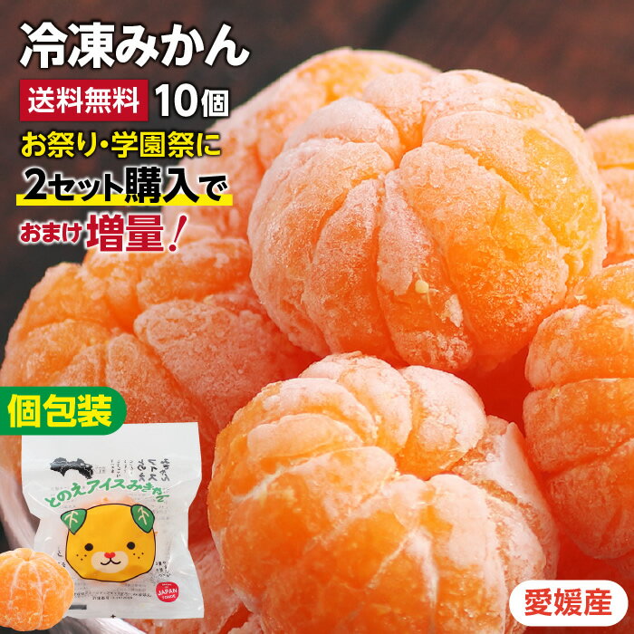 【送料無料】冷凍みかん 愛媛県産 50g×10個 個包装 2