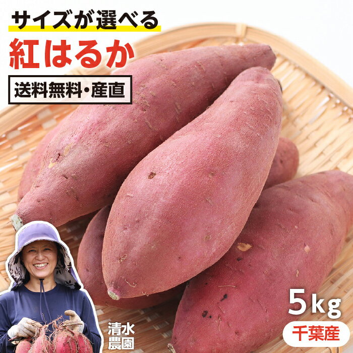 【送料無料】千葉県産 紅はるか 5kg M・Lサイズ 貯蔵熟成品 産地直送 土付き さつまいも サイズ選べる ..