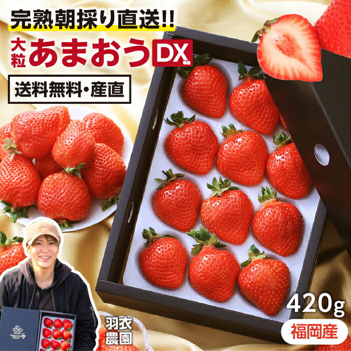 【送料無料】福岡県産 あまおう ギフト デラックス イチゴ 大粒 420g 高級 DX等級 朝採り 当日出荷 産地直送 -S12G あまおういちご | 完熟 いちご 旬のフルーツ 甘い 大きい 美味しい 苺 プレゼント 贈答品 贈り物 農家指定 旬の果物 ブランドいちご 羽衣農園