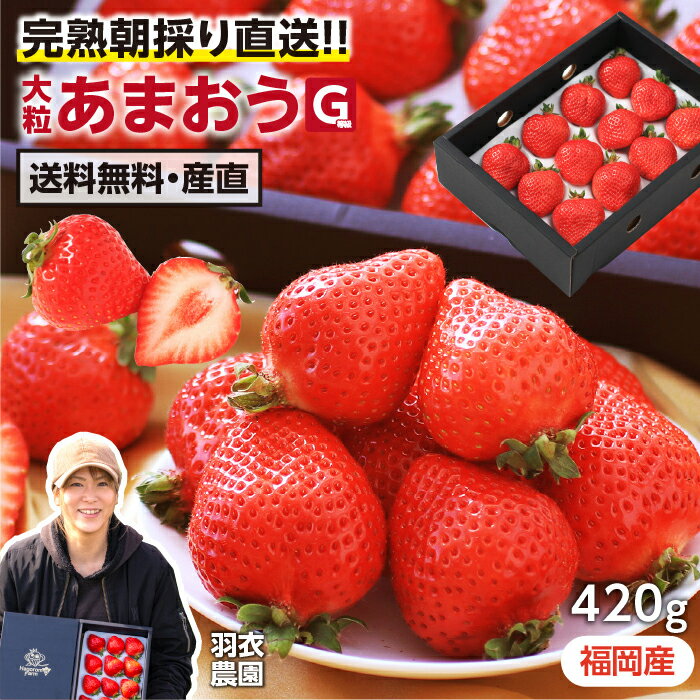 【送料無料】福岡県産 あまおう イチゴ 大粒 グランデ 420g 高級 ギフト G等級 朝採り 当日 ...
