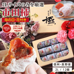 【送料無料・冷凍】母の日 プレゼント 市田柿 干し柿 極 2Lサイズ ギフト 12個入 長野県産 個包装 花セット あす楽 | 国産 ワンランク上の贈り物 干柿 食べ物 お取り寄せ 内祝 出産祝い 贈答 スイーツ 高級感 フルーツ 果物 ドライフルーツ ブランド柿 GIマーク認証品 2024