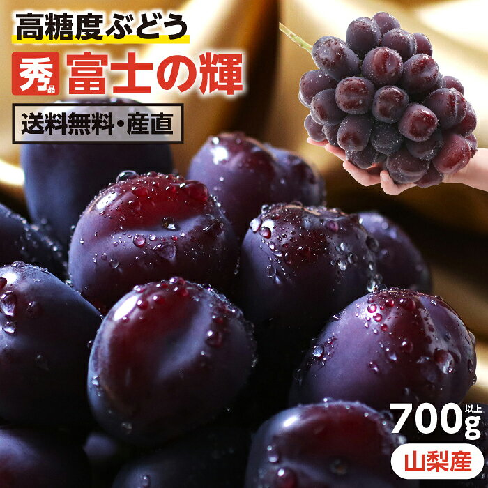 ＼数量限定／【送料無料】ぶどう 富士の輝 700g以上 1房 秀品 希少ぶどう 産地厳選 山梨産 高糖度ぶどう ブラックダ…