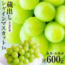 【送料無料】蔵出し シャインマスカット ギフト 1房 約600g 秀品 氷温貯蔵 山梨・長野産 大房のみを厳選! 産地直送 皮ごと食べられる 大人気ブドウ 種なし ぶどう -S11T | 高糖度 シャイン マスカット ブドウ 果物 贈り物 贈答 プレゼント フルーツ 2025