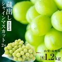 【送料無料】シャインマスカット 蔵出し 秀品 約1.2kg 2房 大粒 産地厳選 長野・山梨産 一房あたり約600g! 最強翌日配送 皮ごと食べられる 大人気ブドウ 種なし ぶどう | シャイン マスカット ブドウ 甘い ギフト プレゼント フルーツ 常温発送