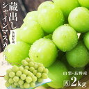 【送料無料】 蔵出し シャインマスカット ギフト 約2kg 秀品 3~5房 氷温貯蔵 山梨・長野産 大房 産地厳選 皮ごと食べられる 大人気ブドウ 種なし ぶどう -S11T | 高糖度 シャイン マスカット ブドウ 果物 贈り物 プレゼント 御歳暮 フルーツ 贈答