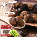 【送料無料】長野県産 ドライフルーツ シャインマスカット 20g 砂糖不使用 無添加|信州産 ドライぶどう 干しぶどう レーズン ドライシャインマスカット 無香...