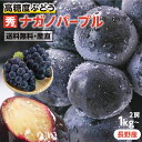 \スーパーSALE/【送料無料】ぶどう ナガノパープル 秀品 約1kg 1.2kg 2房 大房 選べる 長野産 産地直送 高糖度 種無し 皮ごと食べれる | 巨峰とリザマートから誕生 長野オリジナル 黒ぶどう フルーツ 果物 贈答 ギフト お取り寄せ 旬の果物 葡萄 ブドウ 長野パープル 2025