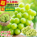 楽天グルメ大賞受賞品! シャインマスカット 秀品 1kg 1.2kg 2房 ぶどう 送料無料 山梨 長野産 産地厳選 皮ごと食べられる 種なし 1房あたり約500g 大人気 ブドウ | 高糖度 シャイン マスカット 葡萄 甘い 果物 贈り物 ギフト プレゼント 贈答 旬の味覚 フルーツ 2025