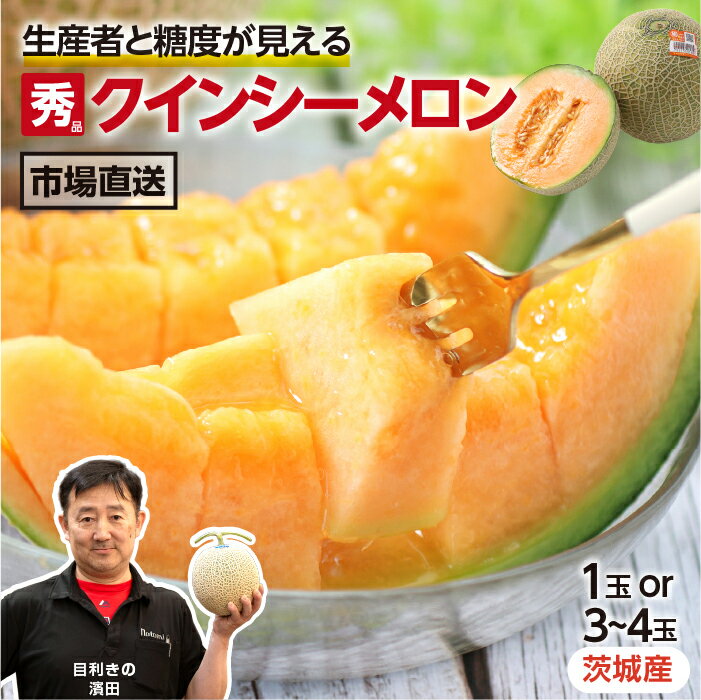 【数量限定 送料無料】メロン 茨城産 約1kg 赤肉メロン 旭メロン クインシーメロン 選べる 1玉 ...