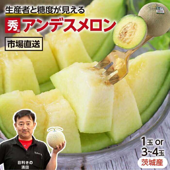 茨城産 メロン 約1kg 旭メロン アンデスメロン 選べる 1玉 3～4玉 秀品 目利き 厳選 大田市場直送 産直 青肉 | 美味しい めろん 鉾田市 旭村 瑞々しい 甘いメロン おいしい 贈答 ギフト プレゼント 贈り物 フルーツ melon 産地直送 糖度が見えるメロン