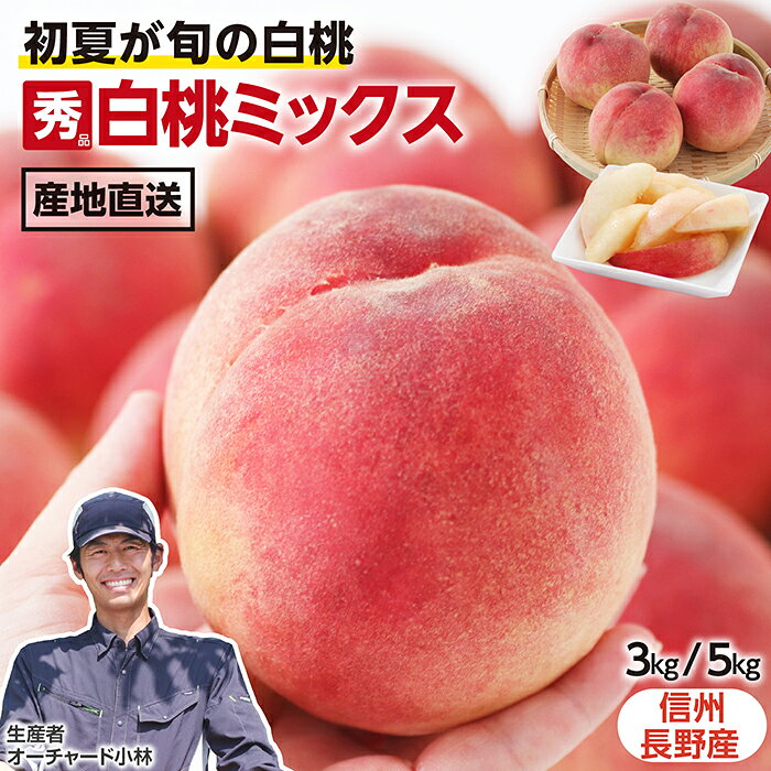 【送料無料】桃 秀品 白桃 日川白鳳 赤宝 ミックス 2kg 3kg 産地直送 長野県産 オーチャー ...