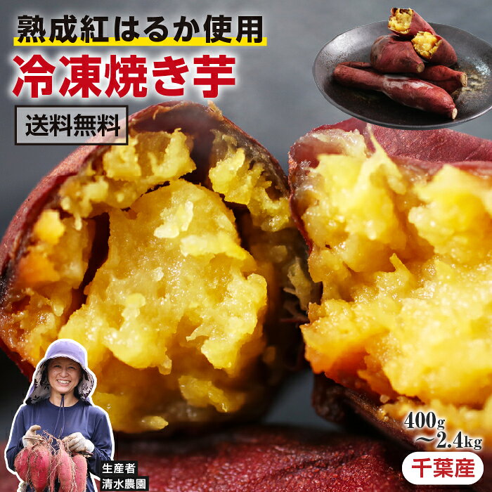 楽天市場】紅はるか 千葉の通販