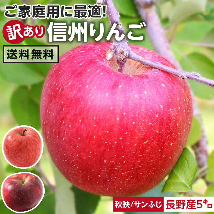 【送料無料】長野県産 りんご 訳あり 5kg サンふじ 秋映 自宅用 | 産地直送 訳あり 訳 訳有り リンゴ 傷あり 大小さまざま 太陽の光をいっぱい浴びた無袋栽培 りんご 長野 信州 サンフジ あきばえ 林檎 食品 アップルパイ用に