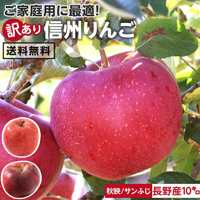 【送料無料】長野県産 りんご 訳あり 10kg 秋映 サンふじ 自宅用 | 産地直送 訳あり 訳 訳有り リンゴ 傷あり 大小さまざま 太陽の光をいっぱい浴びた無袋栽培 りんご 長野 信州 サンフジ あきばえ 林檎 食品 アップルパイ用に