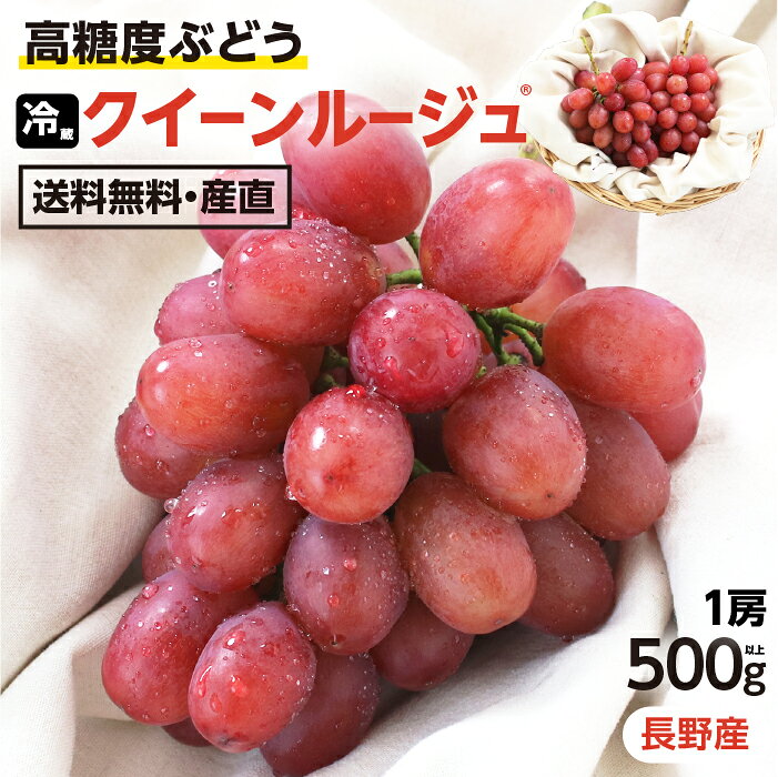 【送料無料】ぶどう クイーンルージュ 約500g 1房 秀品 長野産 冷蔵便 シャインマスカットを親に持つ高糖度ぶどう！ 産地直送 皮ごと食べられる 大人気ブドウ 種なし 新品種 | 赤ぶどう ルージュ ブドウ 甘い ギフト プレゼント フルーツ 信州産 2026