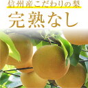 【送料無料】長野県産 梨 10kg 秀品 幸水 豊水 二十世紀 南水 完熟 なし 選べる品種｜和梨 こだわりの甘い梨 おいしい梨 旬の果物 お中元 ギフト 朝採り当日出荷 お取り寄せ フルーツ 産地直送 贈答用 プレゼント 国産 瑞々しい梨 農家限定 信州産