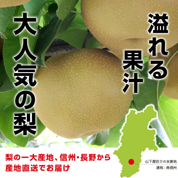 長野県産 訳あり梨（幸水・豊水・二十世紀など6品種から選べる・5kg）