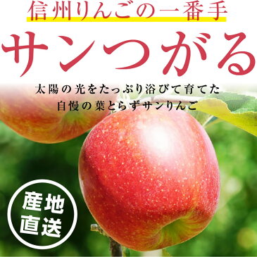【送料無料】長野県産 りんご 5kg サンつがる 秀品 産地直送 | 葉とらず栽培 リンゴ 林檎 つがる ツガル 信州 お取り寄せ 旬の果物 フルーツ りんごの一番手 ギフト 贈り物