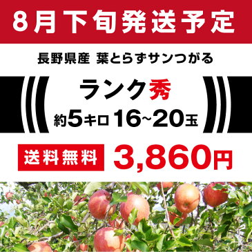 【送料無料】長野県産 りんご 5kg サンつがる 秀品 産地直送 | 葉とらず栽培 リンゴ 林檎 つがる ツガル 信州 お取り寄せ 旬の果物 フルーツ りんごの一番手 ギフト 贈り物